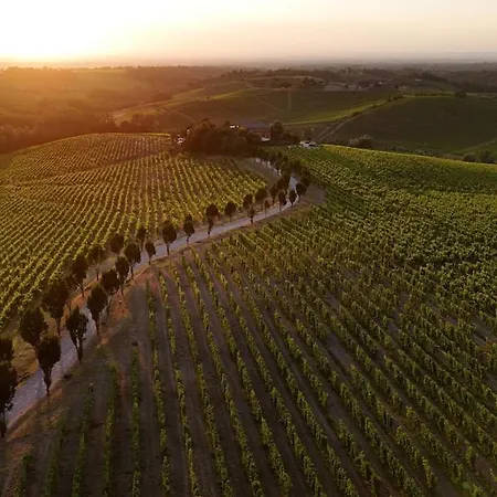 Cascina Tra I Vigneti Villa