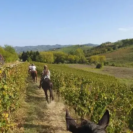 La Meirana Del Rio *