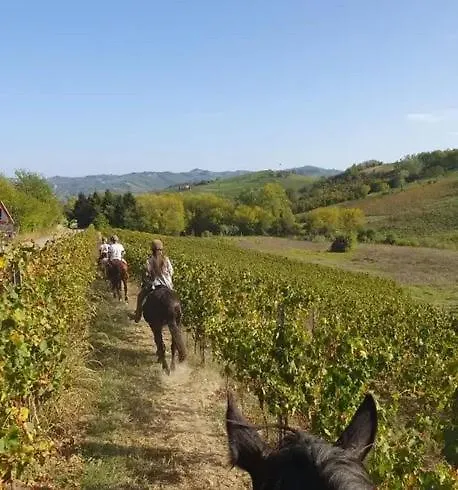 La Meirana Del Rio *